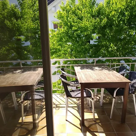 Wiedmann * טובינגן